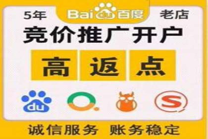 案例分析：百度推广排名提升的优化策略